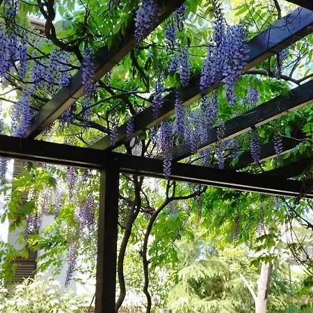 Apartment Sea Breeze Veranda In Santa Marina *