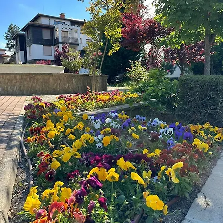 Sea Breeze Veranda In Santa Marina شقة *