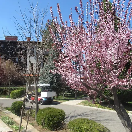 Sea Breeze Veranda In Santa Marina سوزوبول