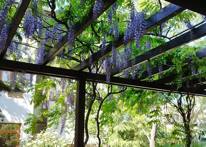 Appartement Sea Breeze Veranda In Santa Marina *